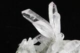 Attractive Amethyst Crystal Cluster - Las Vigas, Mexico #355007-1
